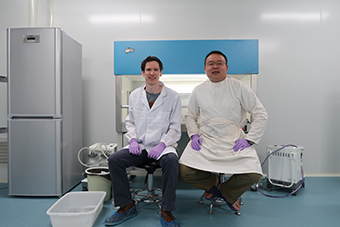 Cell-culture-web
