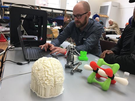 3D printed brain model