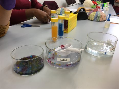 Activity demonstrating the biomedical uses of hydrogels